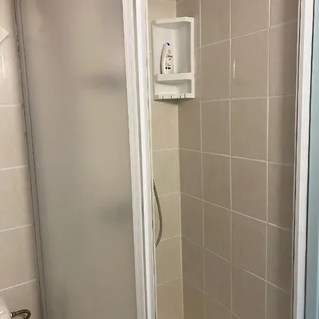 Vine *