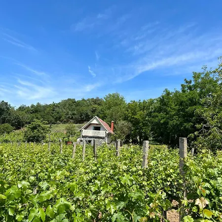 Vine Apartmán