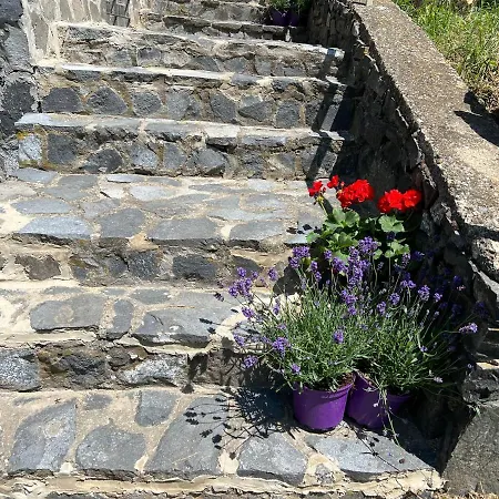 Vine Apartmán *