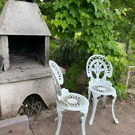 Vine Kaptalantoti