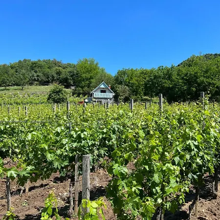 Vine 公寓 Kaptalantoti
