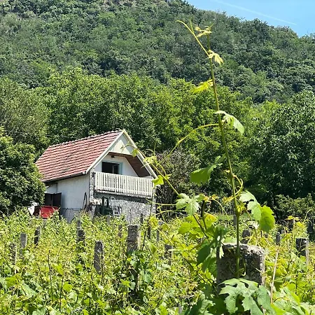 Vine Apartman