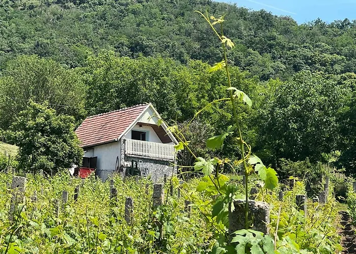 Vine Apartman
